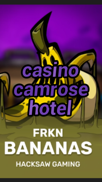 casino camrose hotel-3xn3u5udepyz9m9w5iat.com